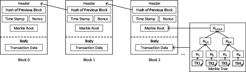 1 The structure of a Blockchain. A block is composed of a header and a... |  Download Scientific Diagram